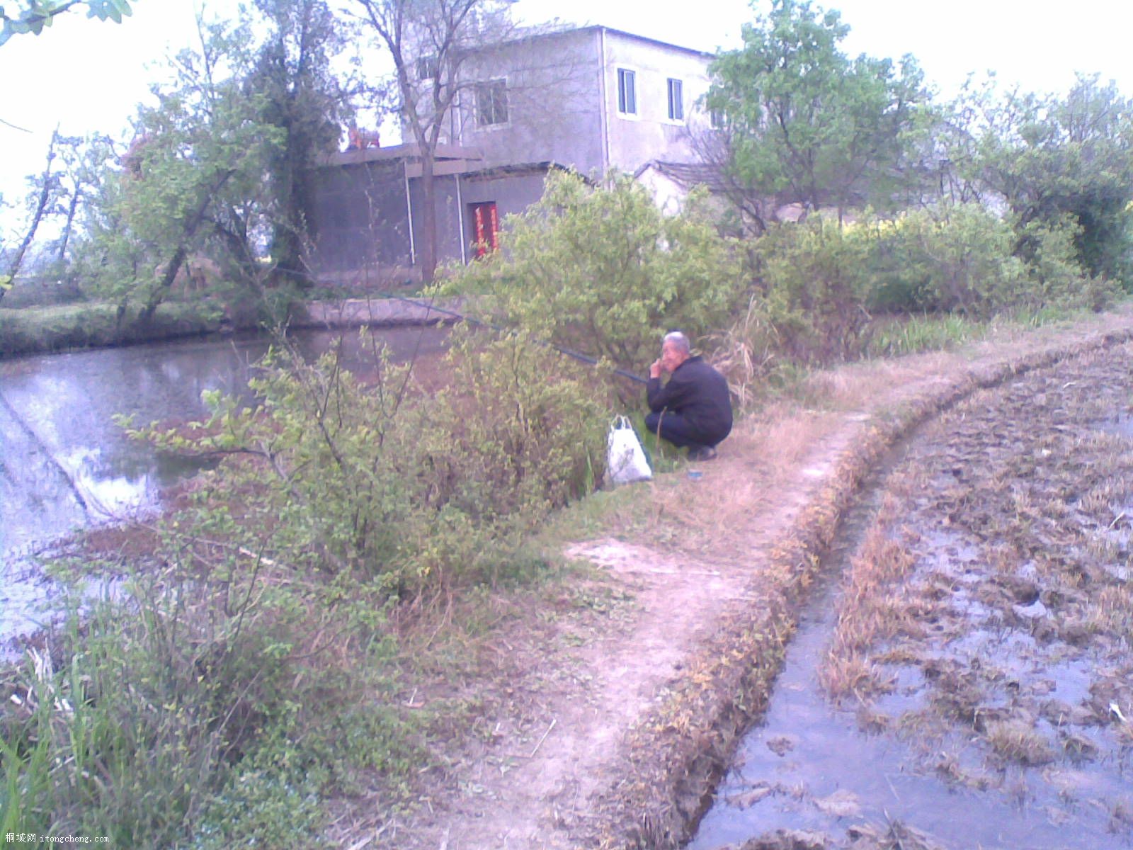 20100410(006).jpg
