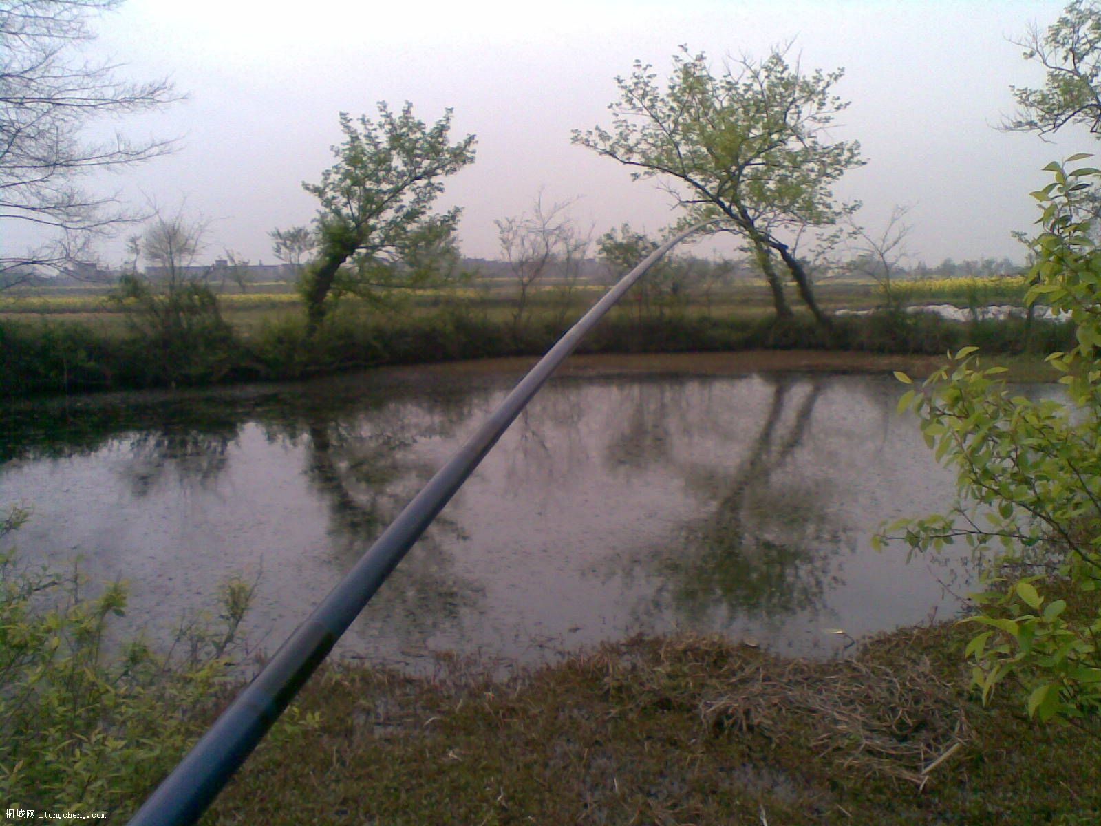 20100410(012).jpg