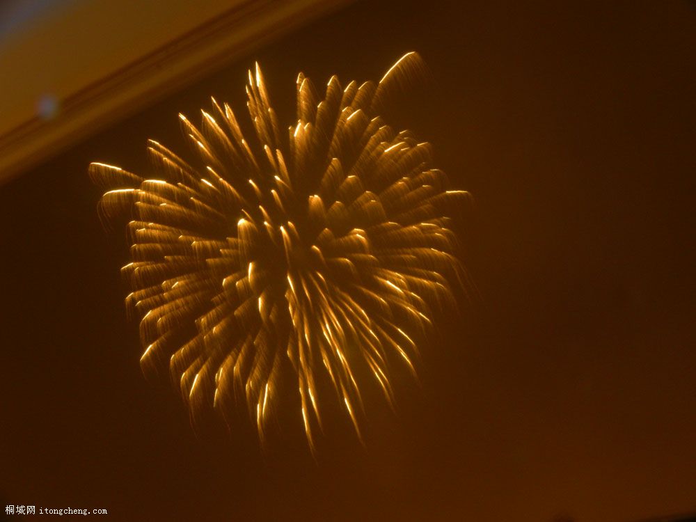 DSCN1738.jpg