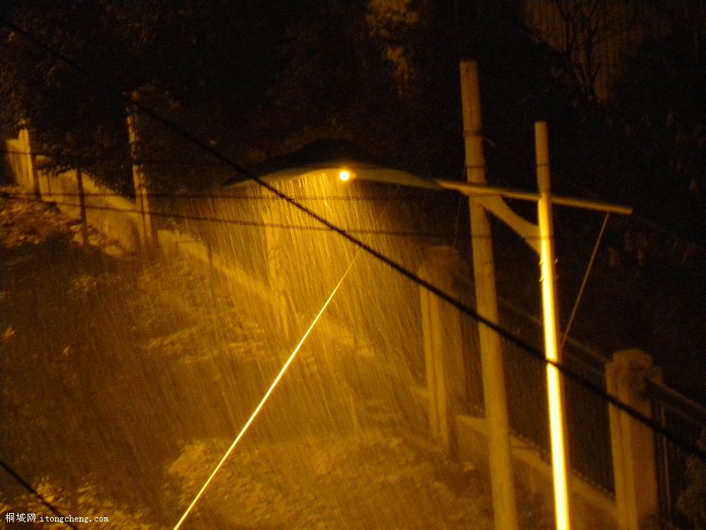 DSCN1721.jpg