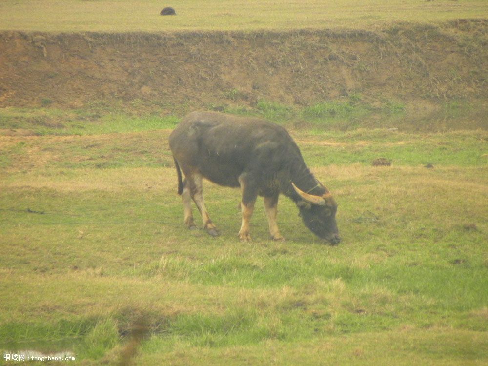 DSCN1794.jpg