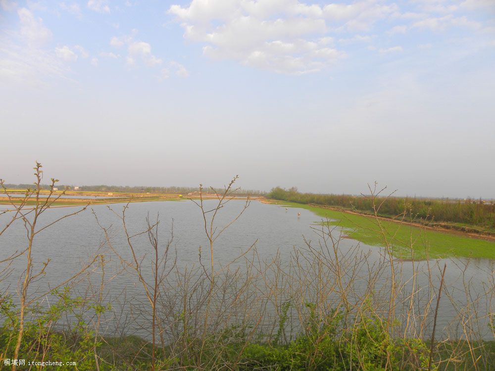 DSCN1834.jpg
