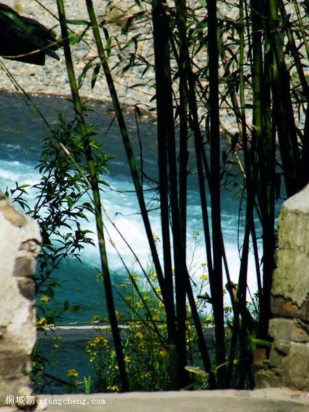 DSCF3216.jpg