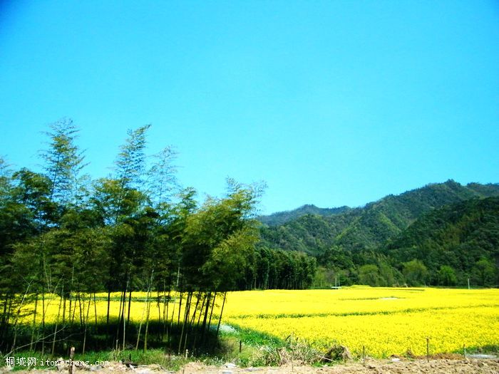 DSCF3147.jpg