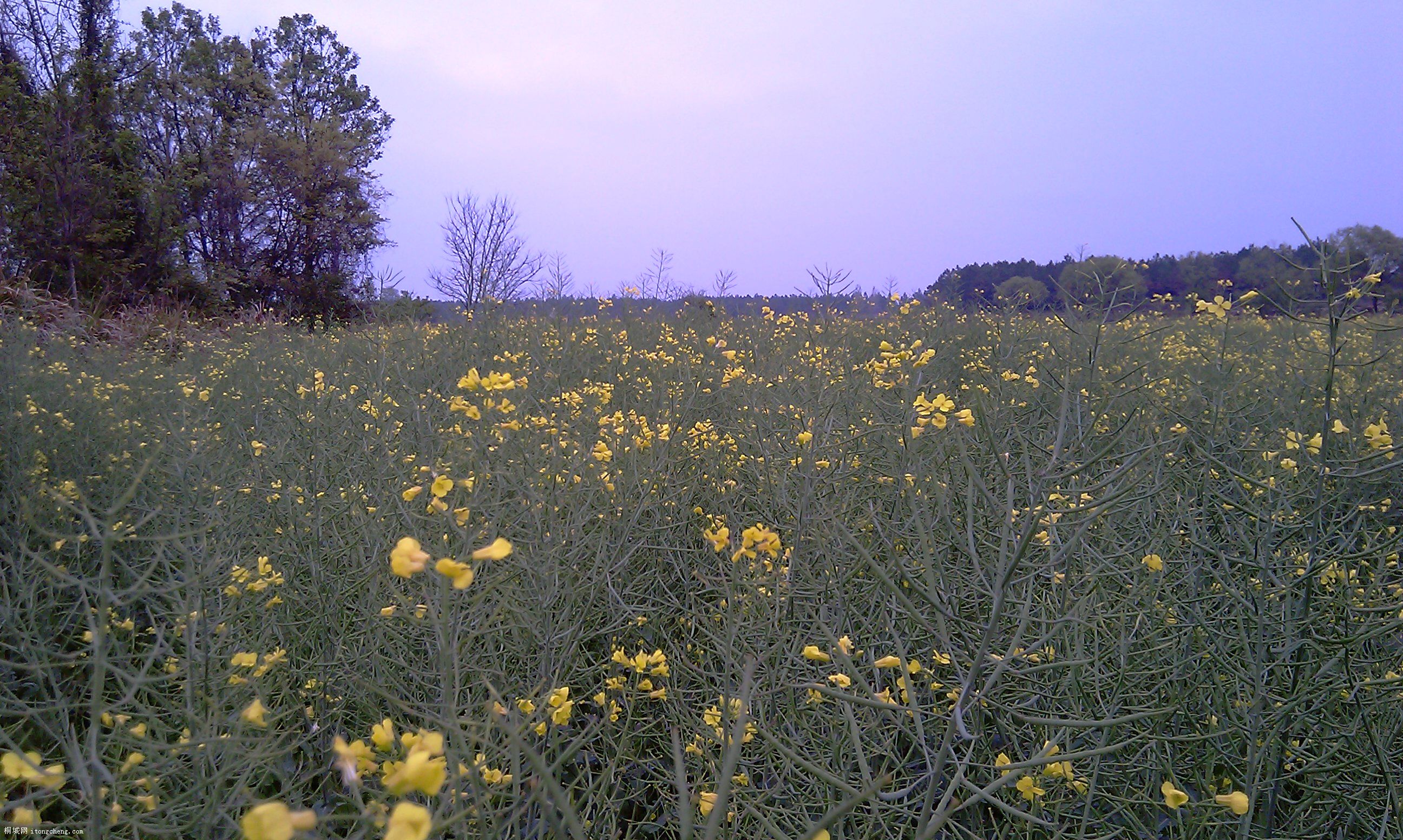 IMAG0077.jpg