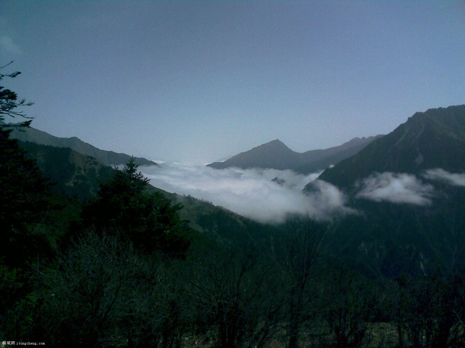 IMAGE_013.jpg