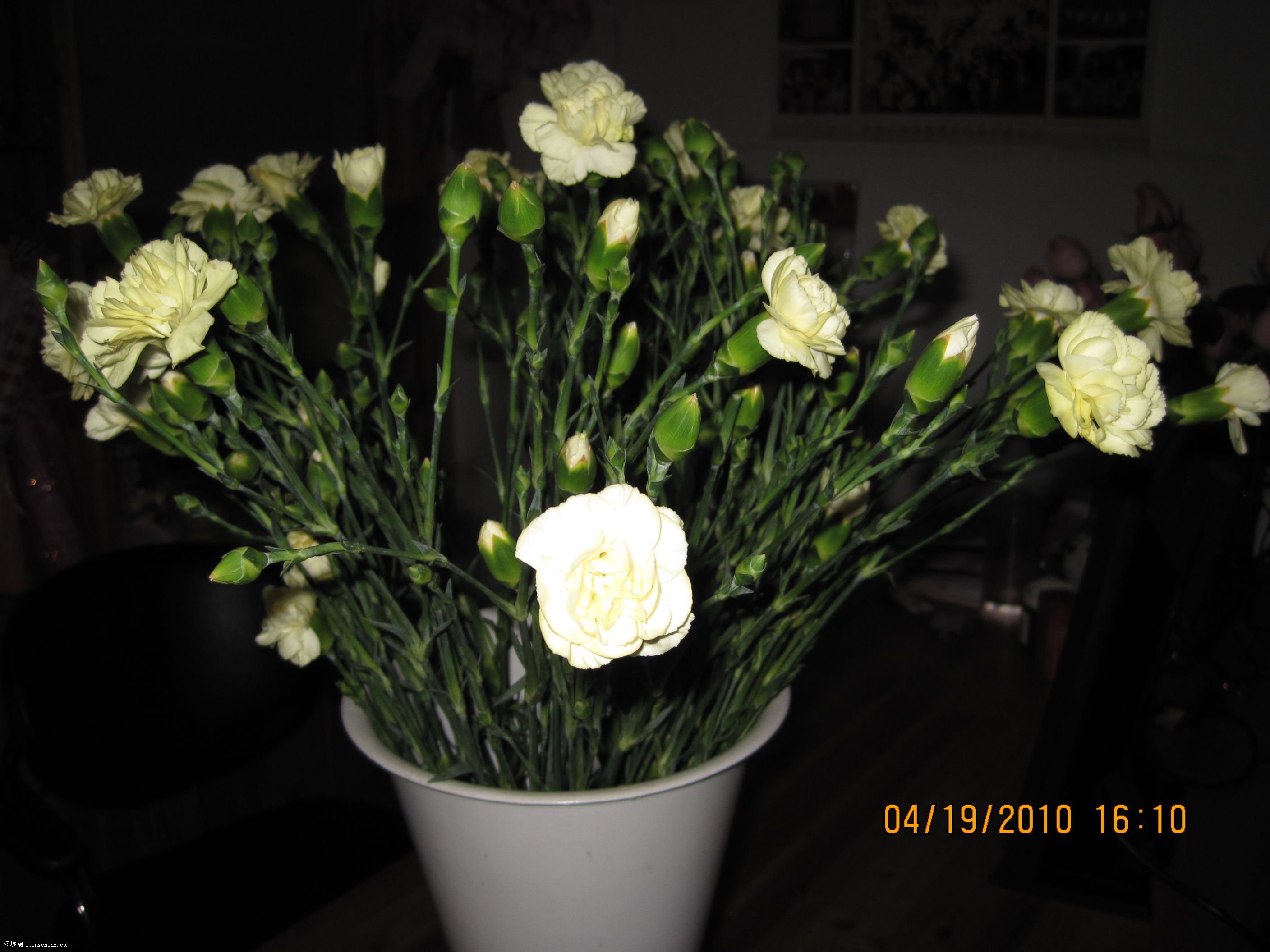 IMG_0375.jpg