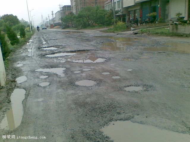20100420_001.jpg