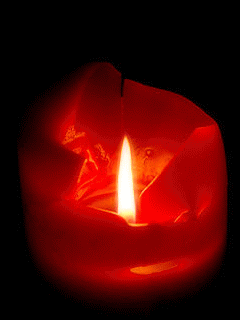 7987479128.gif