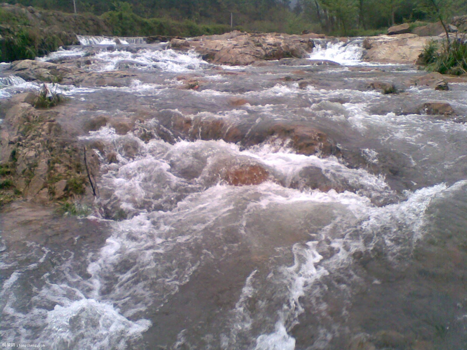 20100422(002).jpg