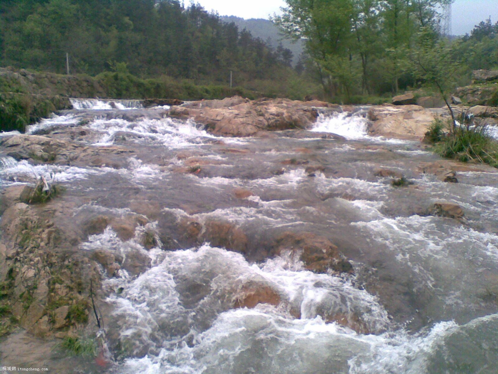 20100422(004).jpg