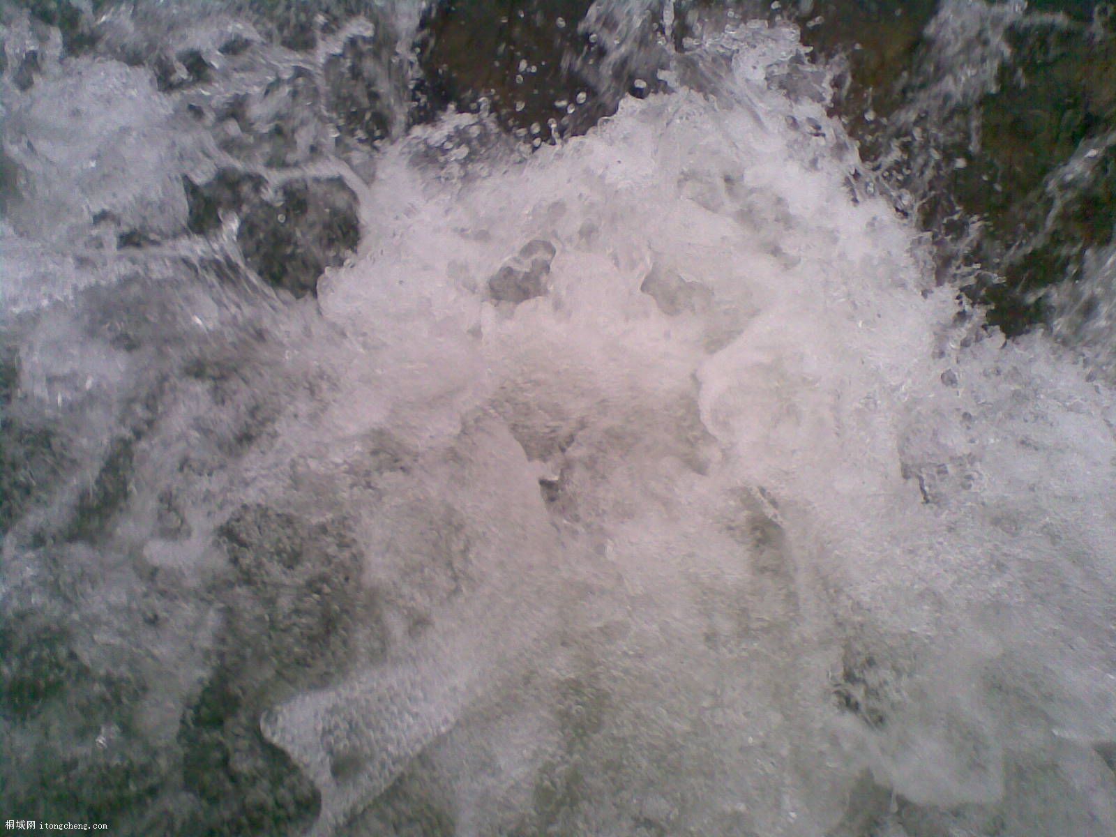 20100422(003).jpg