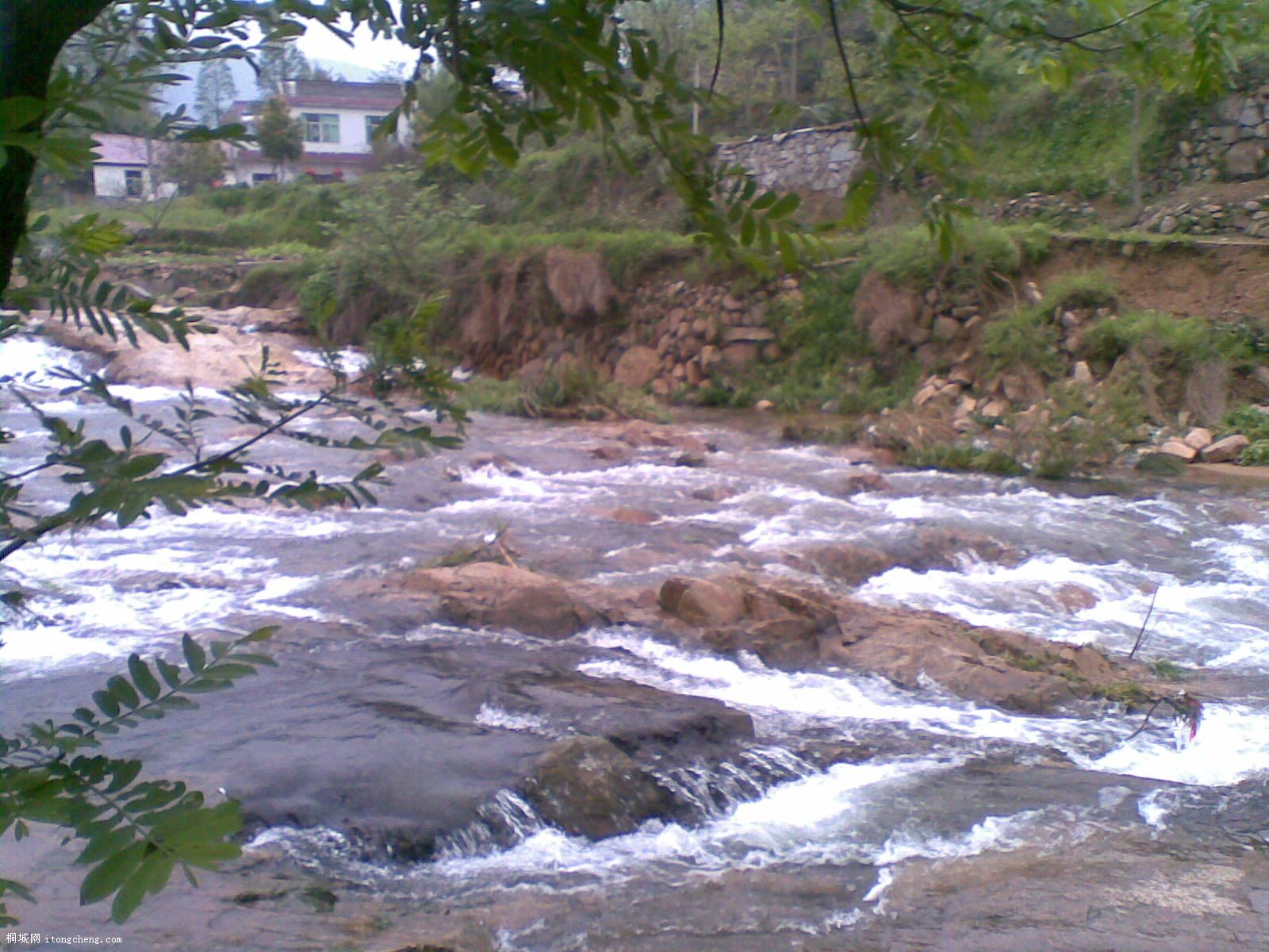 20100422(005).jpg