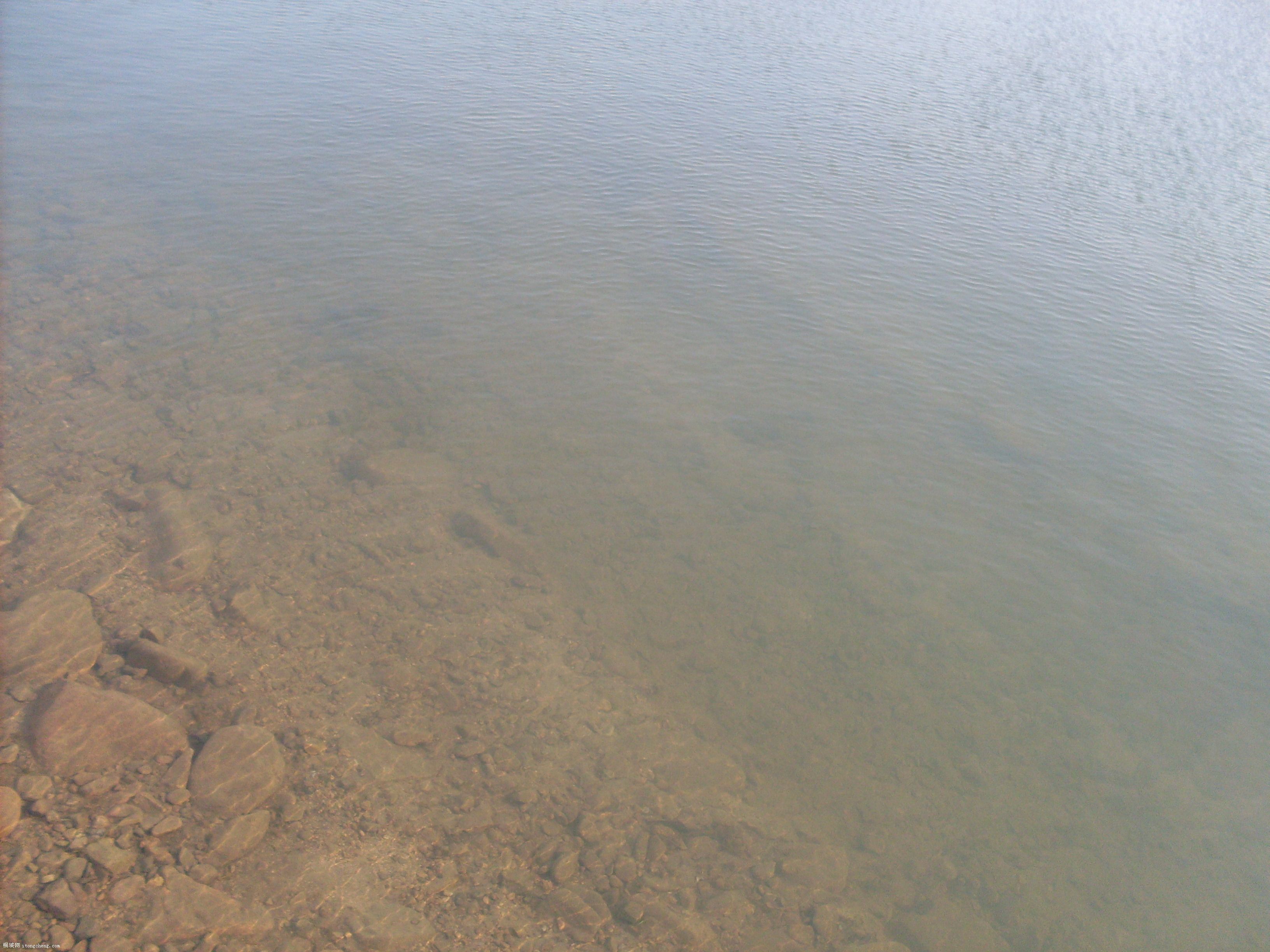 SDC10070.JPG