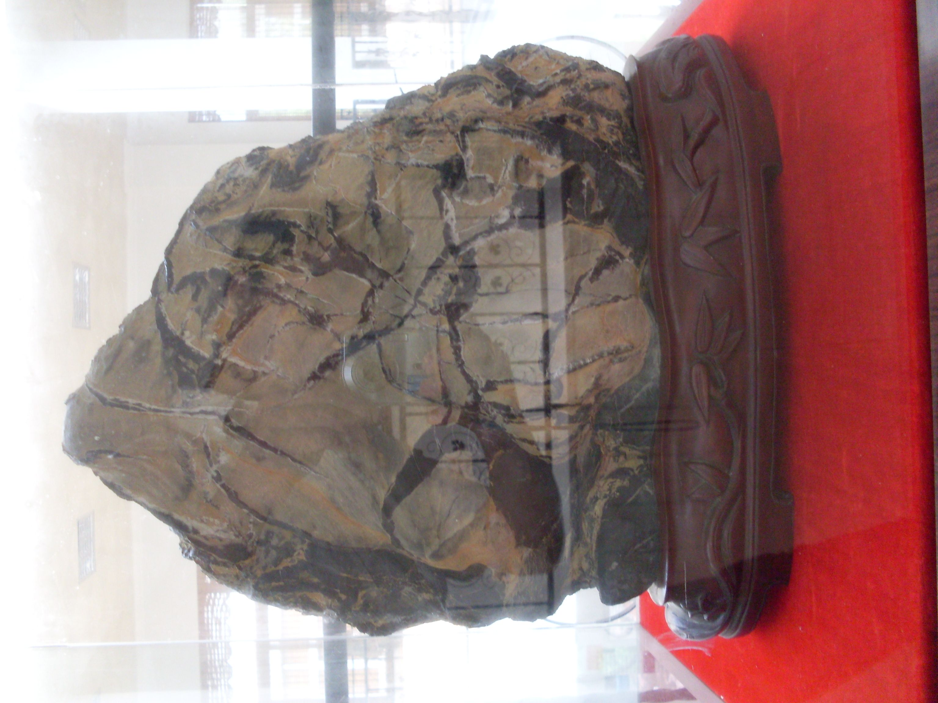 SDC11055.JPG