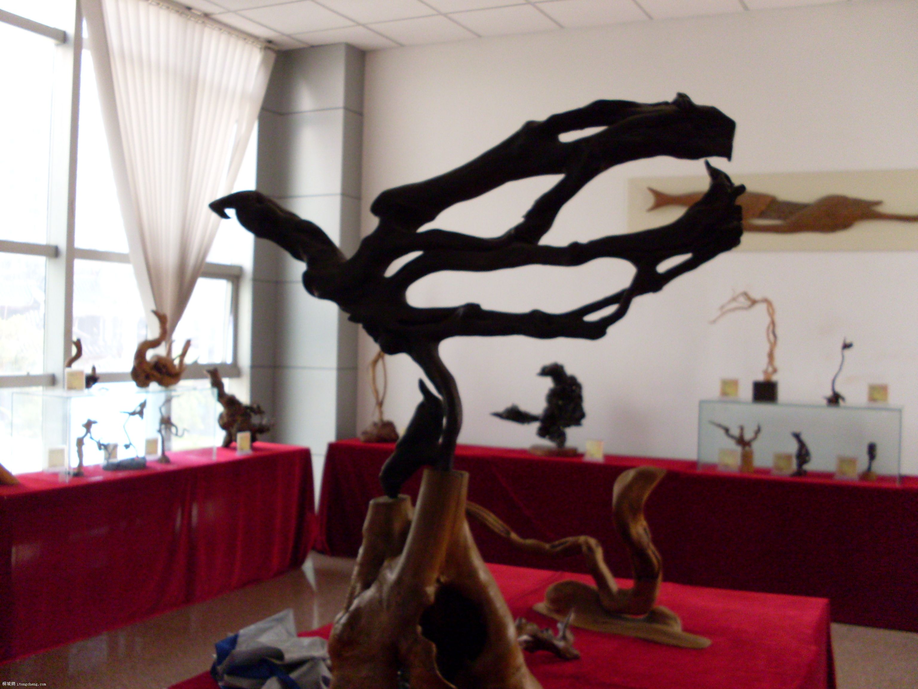 SDC11061.JPG
