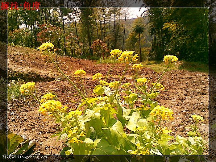 20100423_005.jpg