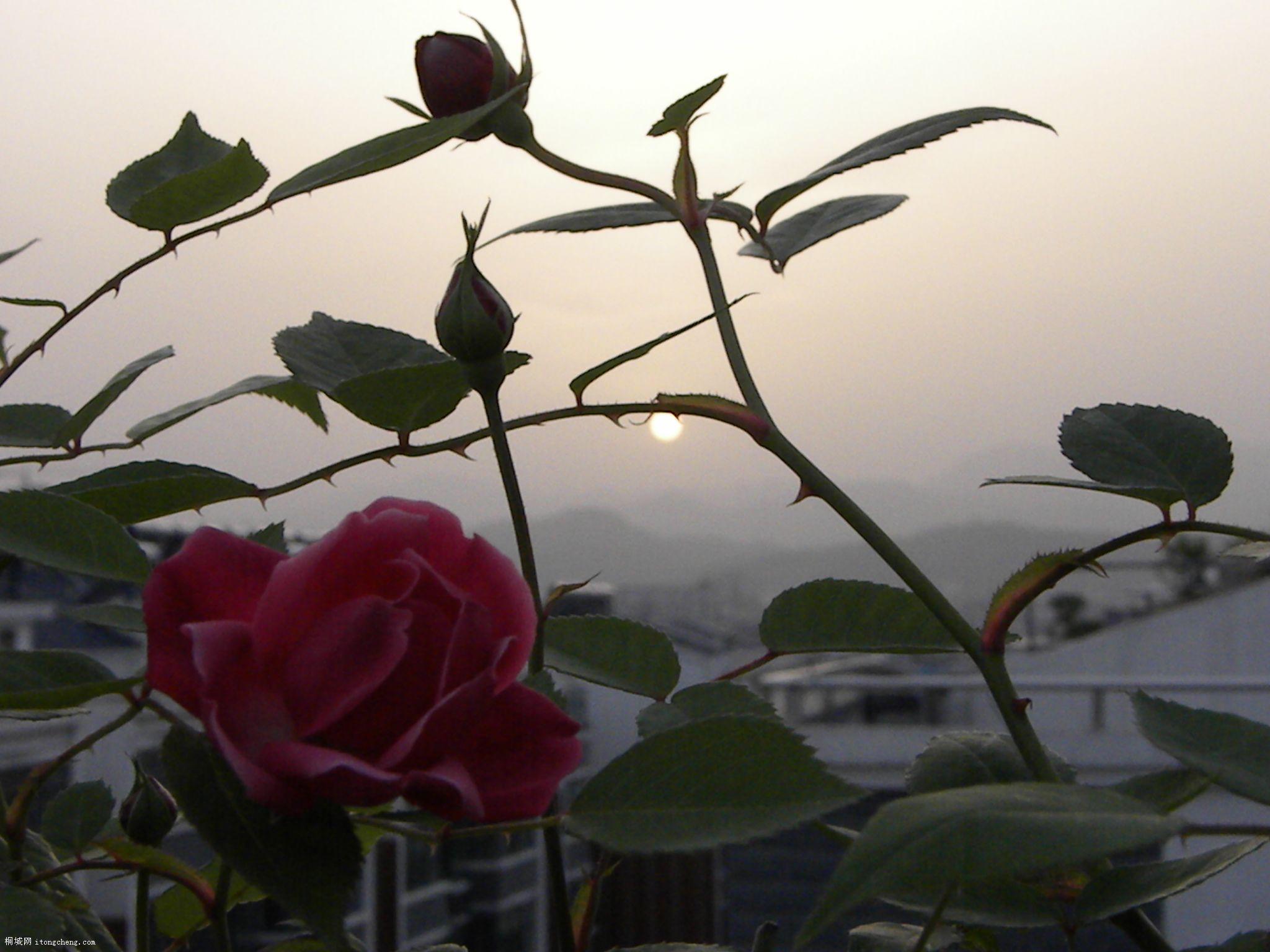 DSCN0387.JPG