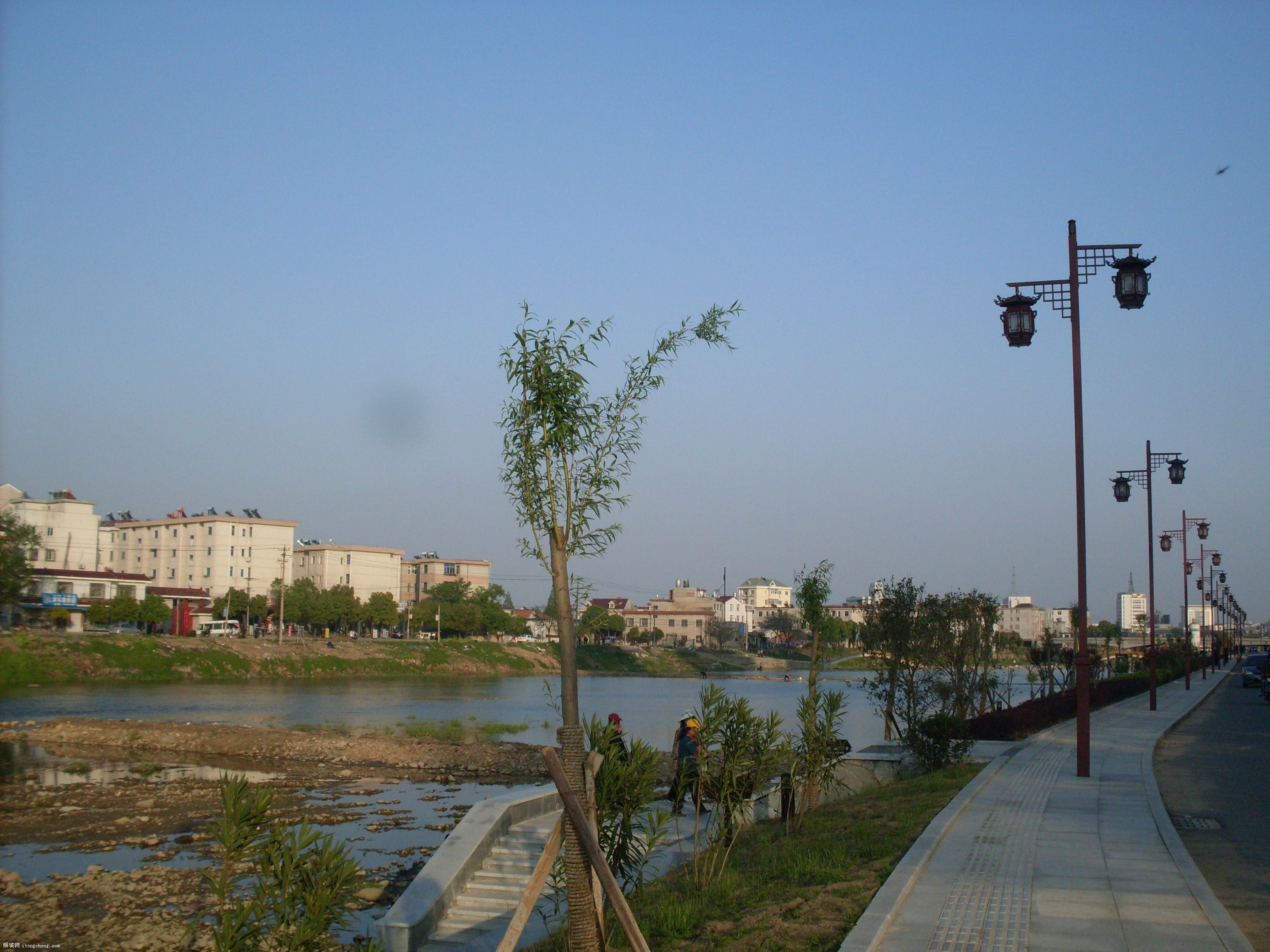 SDC10094.JPG