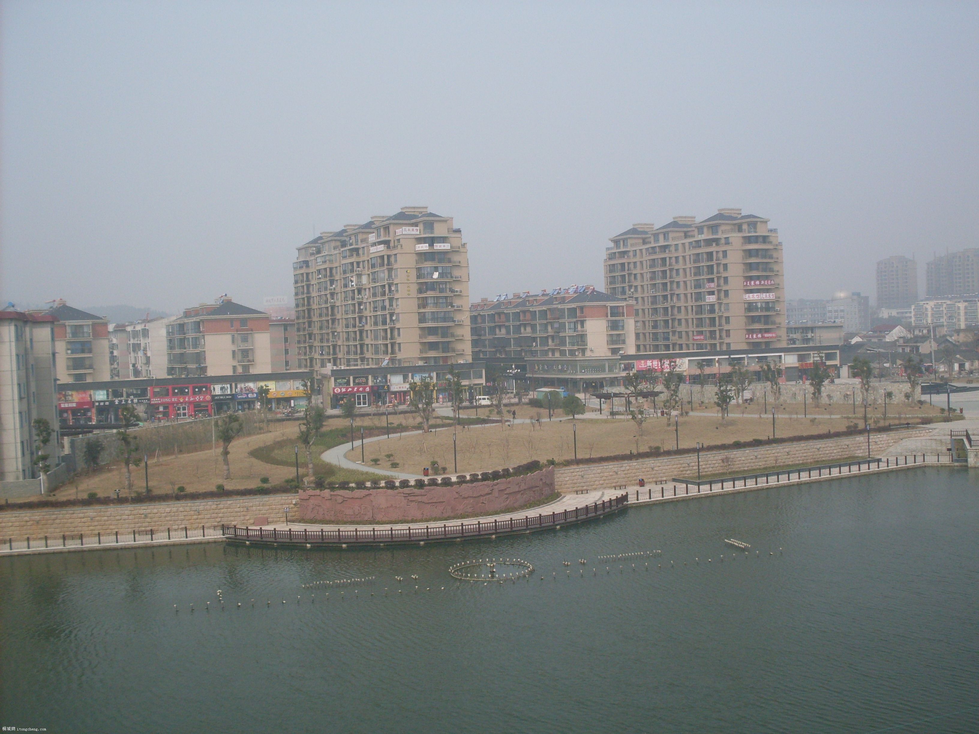 SDC10076.JPG