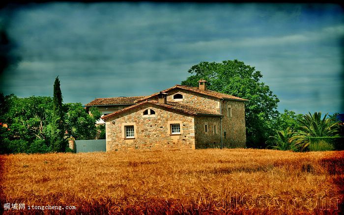 [wallcoo_com]_HDR_cityscape_House_in_a_field_of_wheat.jpg