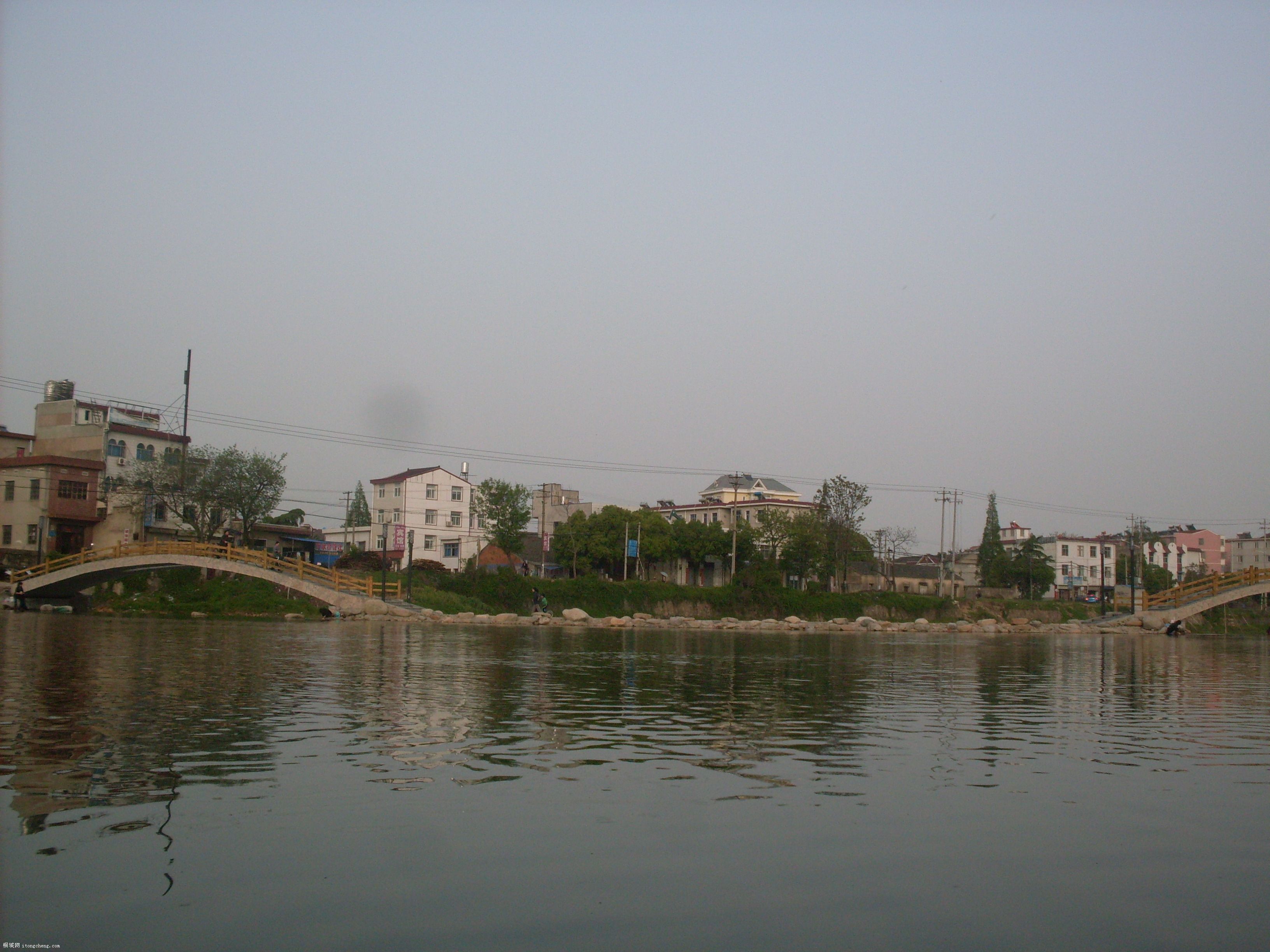 SDC10009.JPG