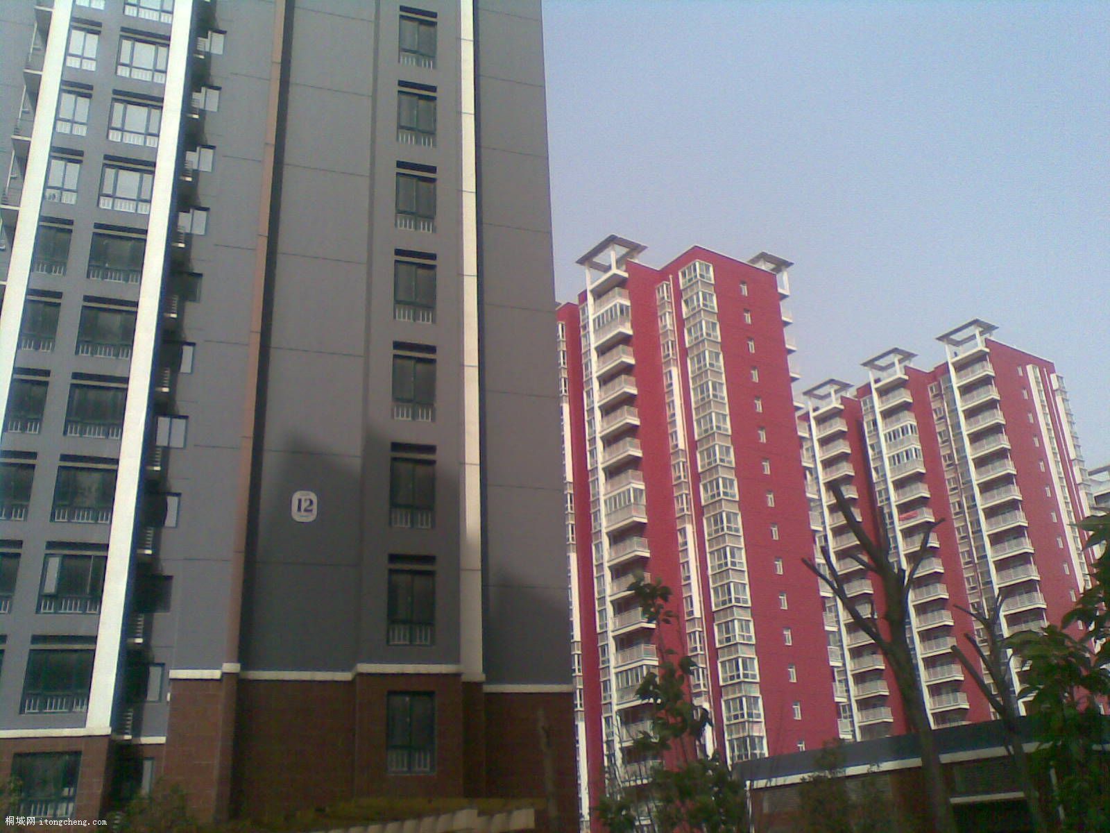 20100429(007).jpg