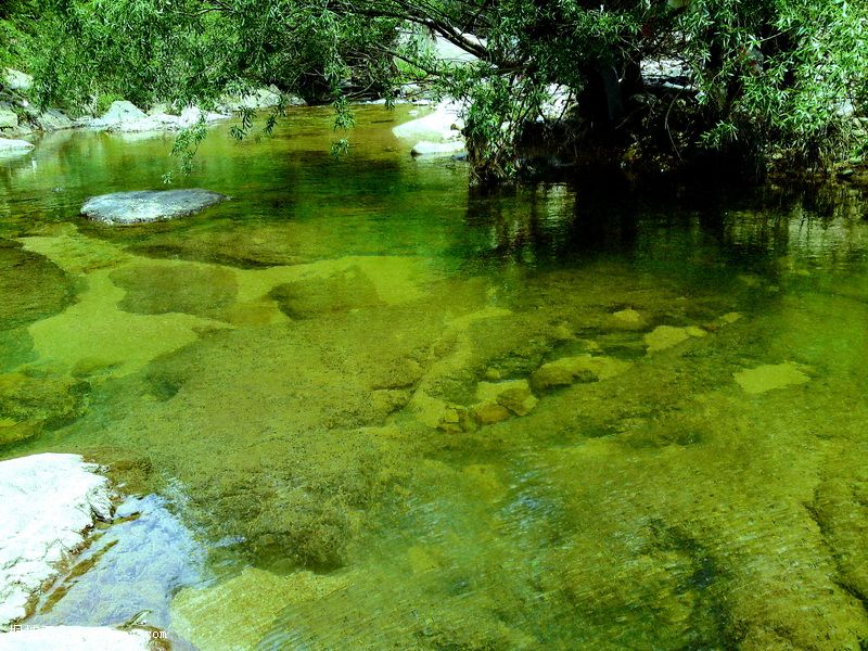 P01-05-10_13.42_С.JPG