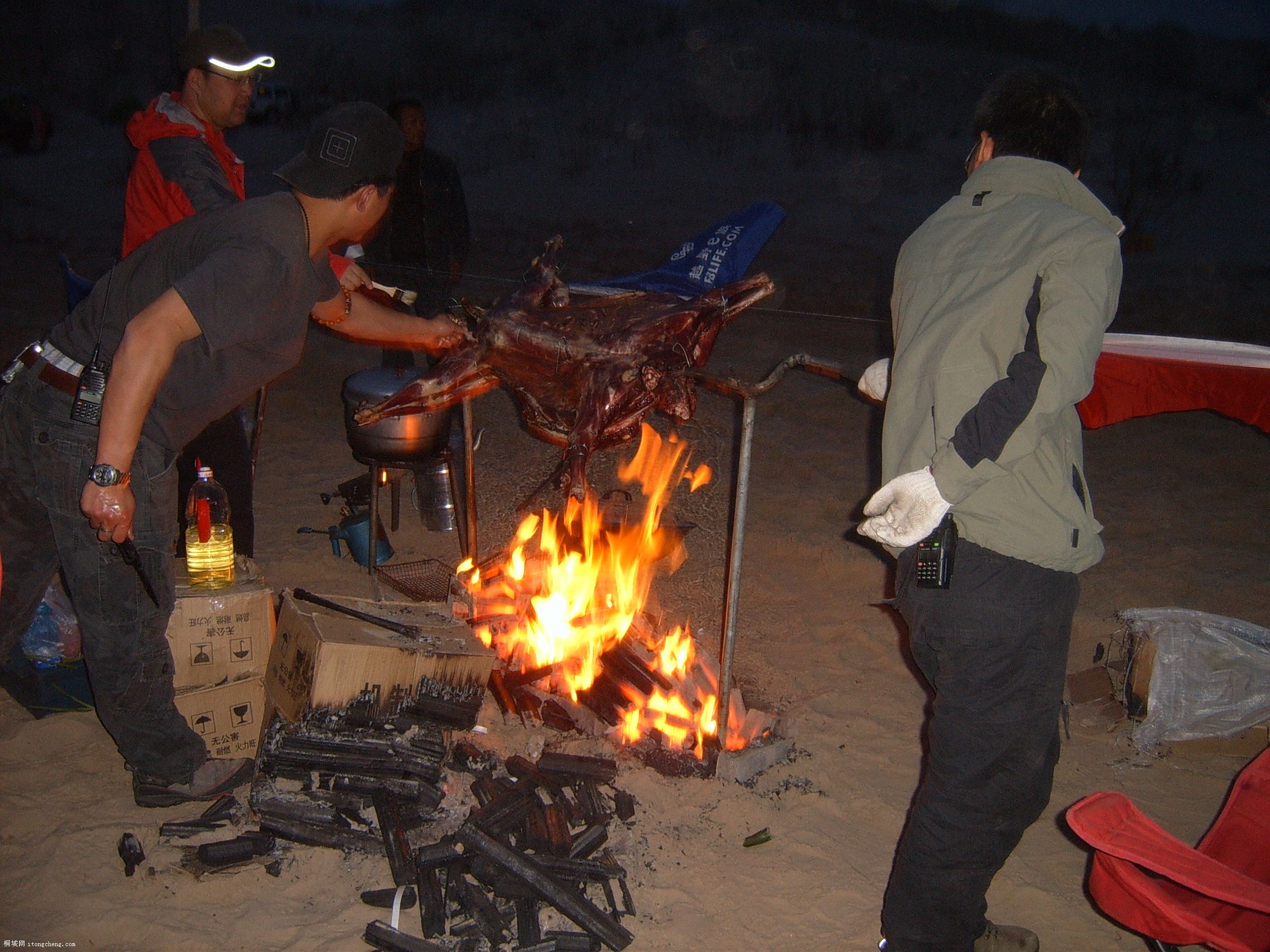 �����ֳ���ȫ�������зݡ�