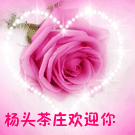 ʻ.gif