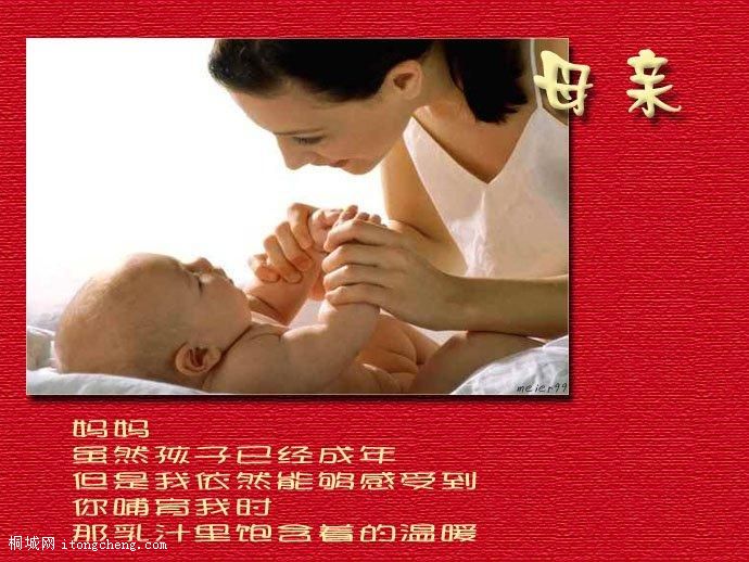 20090509155942990.jpg