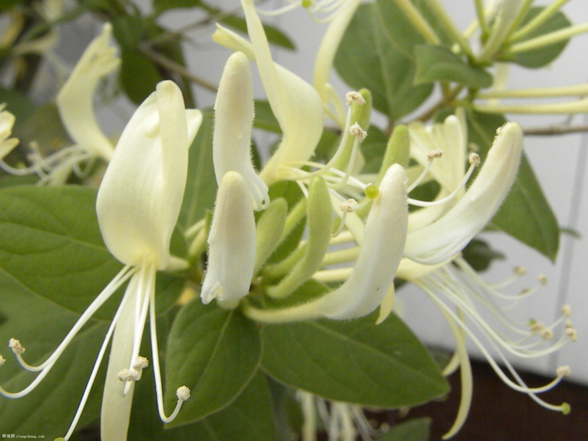 DSCN0394.JPG