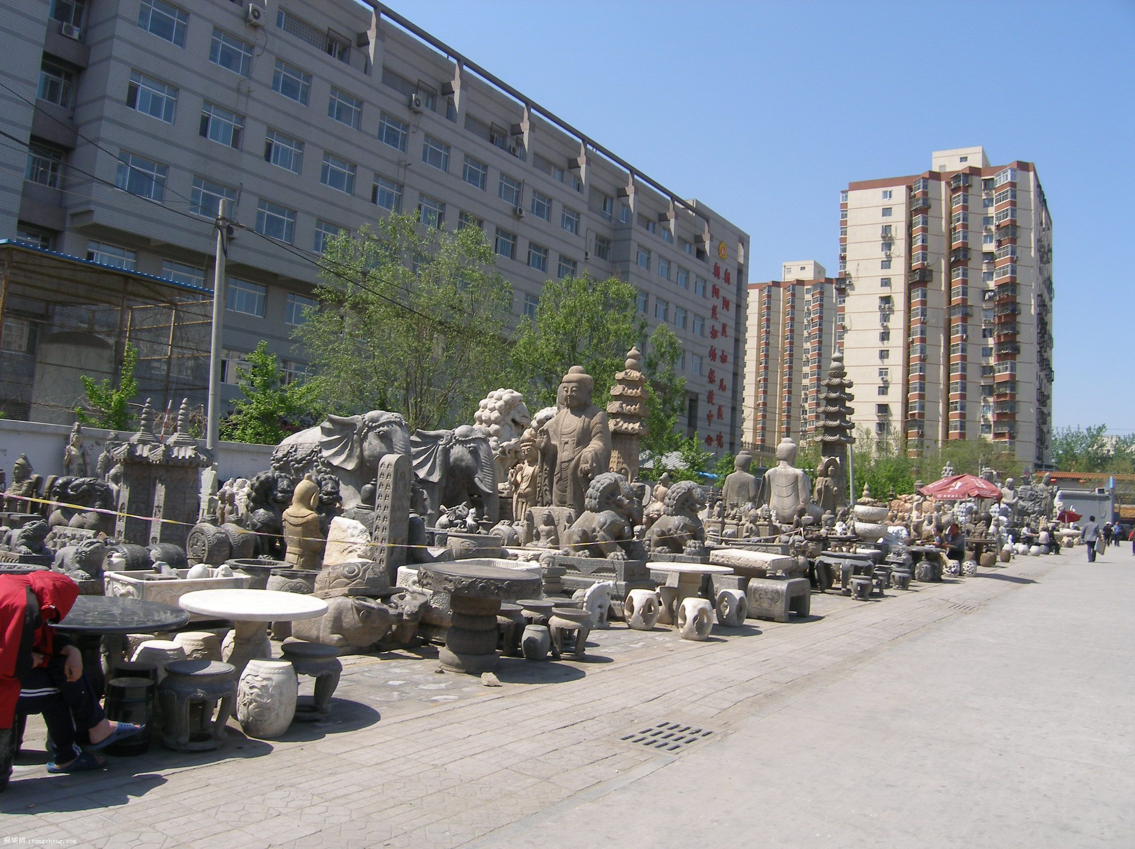 P5065580.JPG