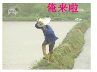 04.gif