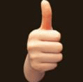 08.gif
