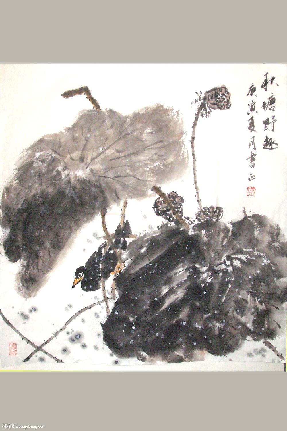 DSCF1728.JPG