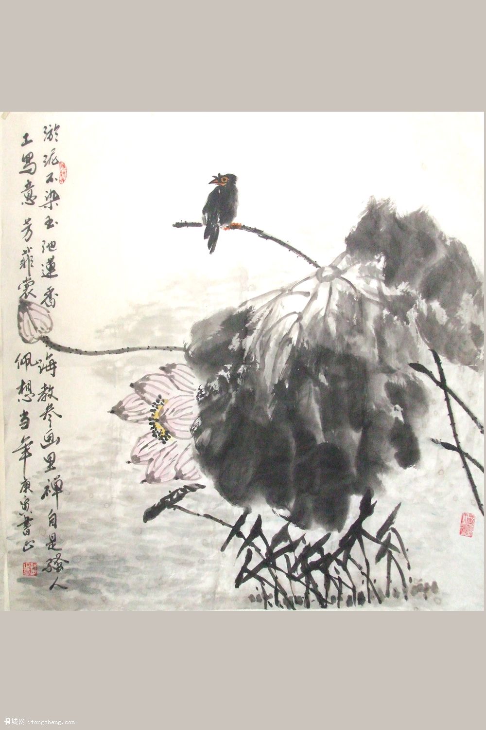 DSCF1726.JPG