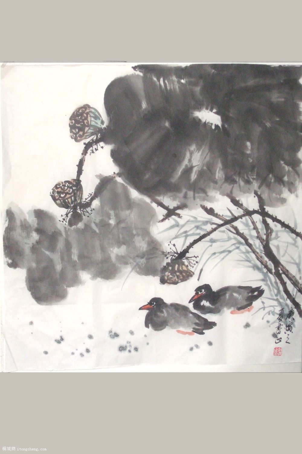DSCF1730.JPG