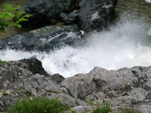 DSCF4422.jpg