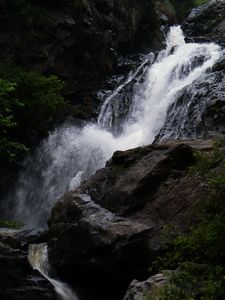 DSCF4431.jpg