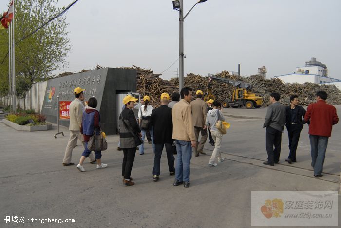 ���볧����ӭ������ľ�������������֦�ʹ��Ͱ��˻�е