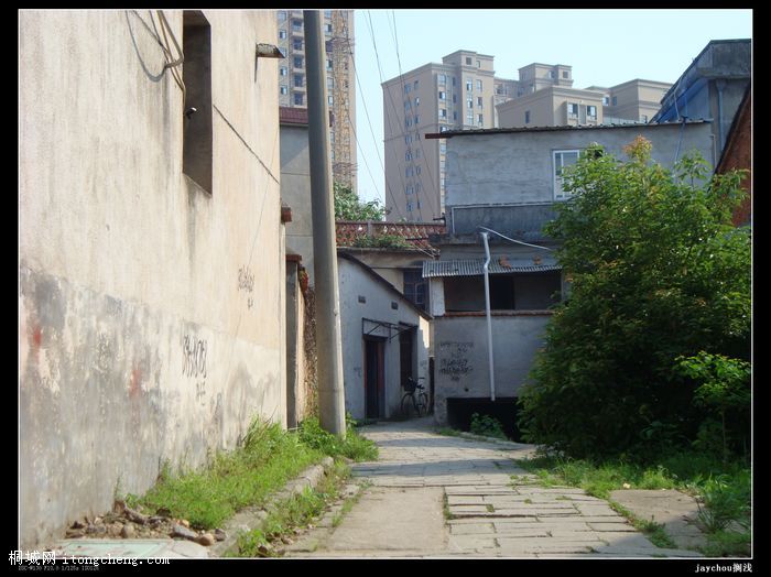 DSC02593.jpg