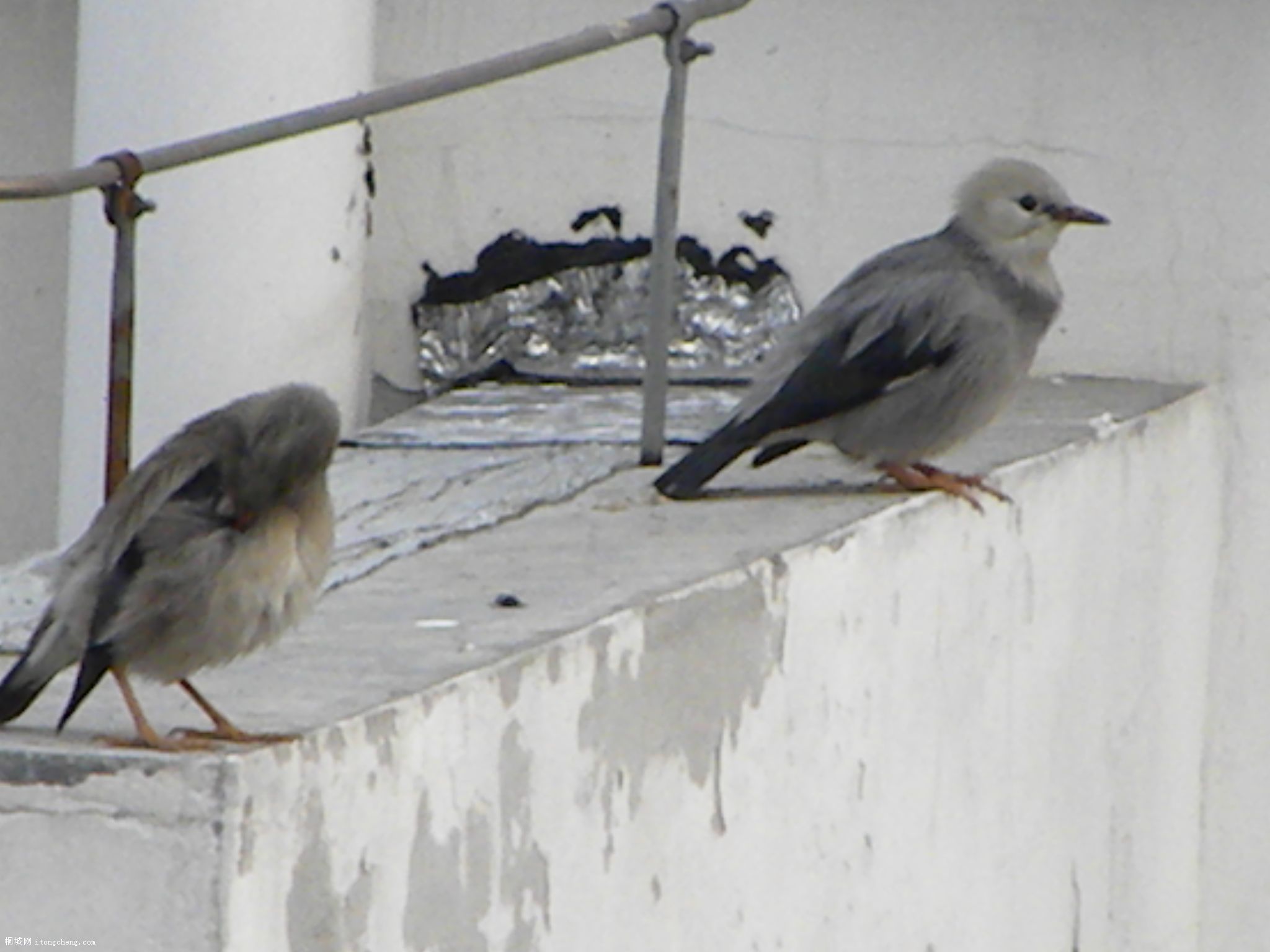 DSCN0428.JPG