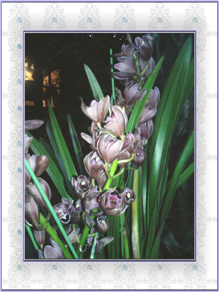 Ƭ-0017.jpg