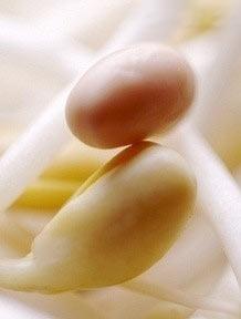 20100525114619-1147605541.jpg