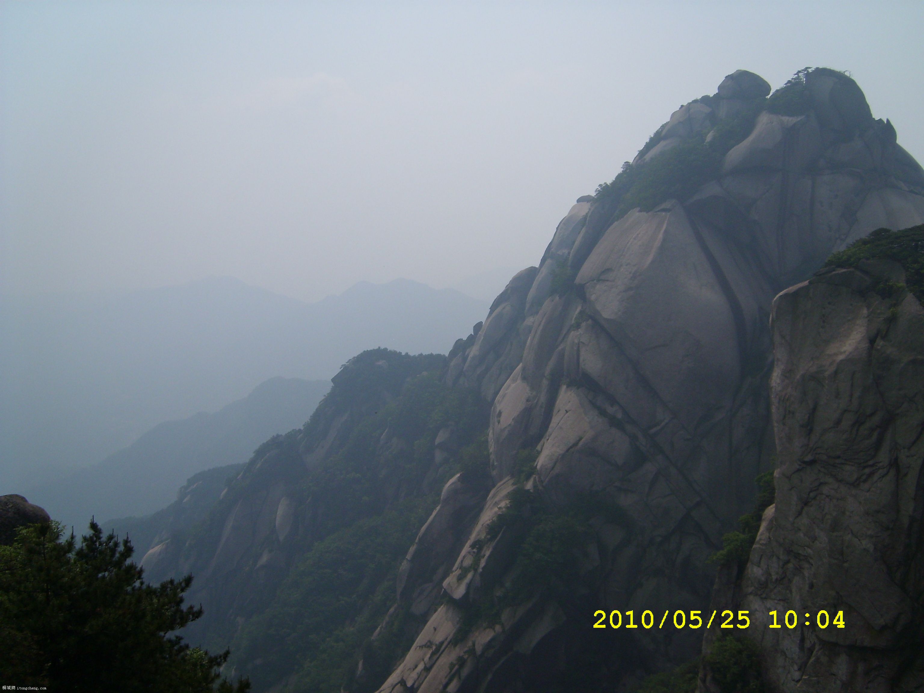 SL271437.JPG