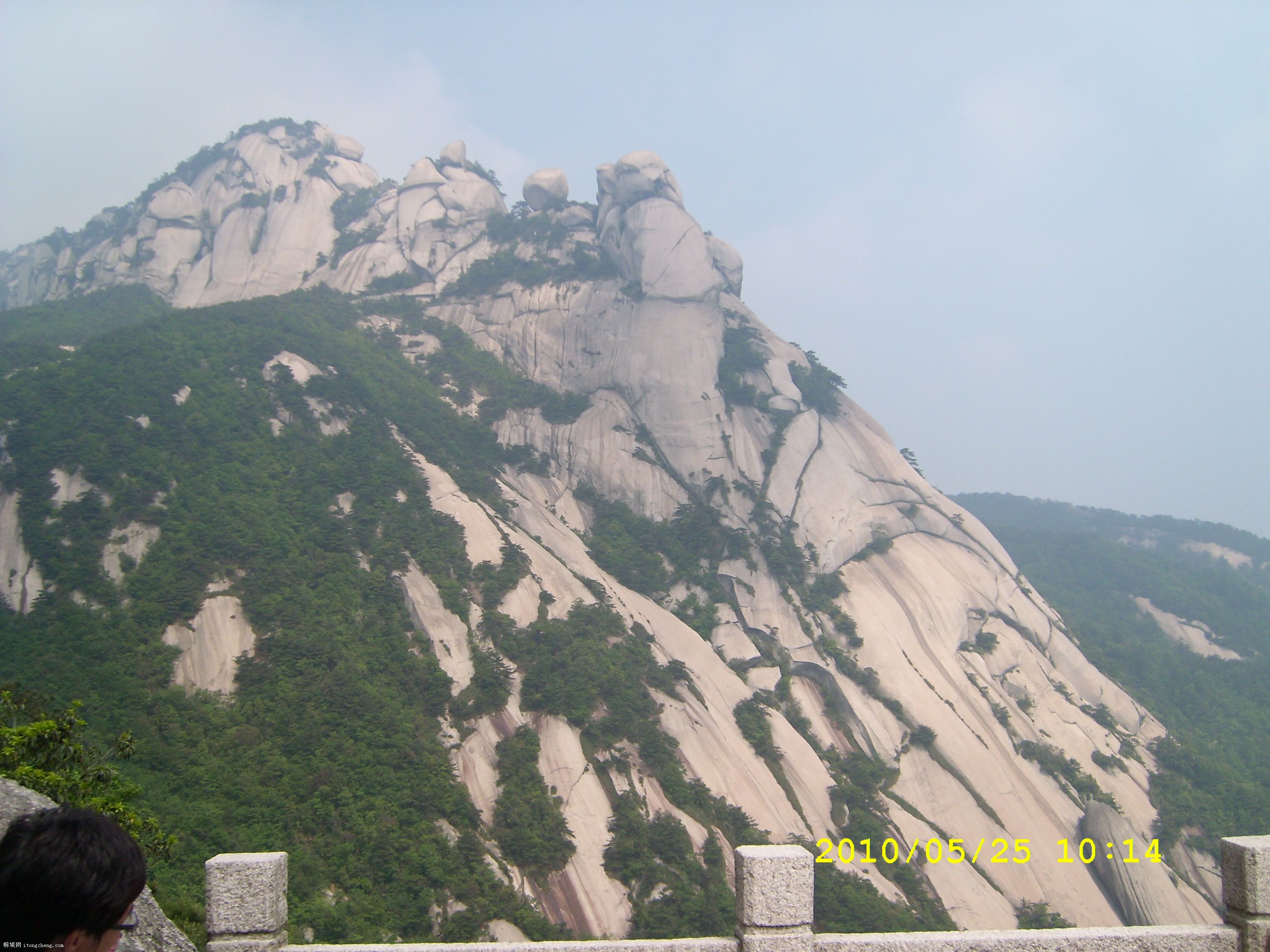 SL271444.JPG