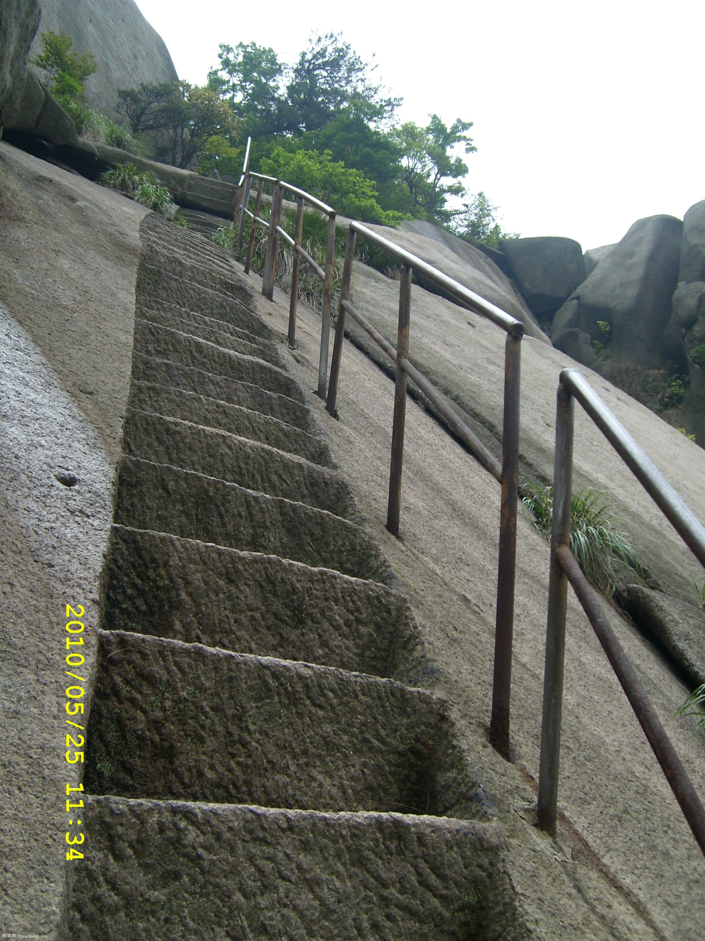 SL271493.JPG