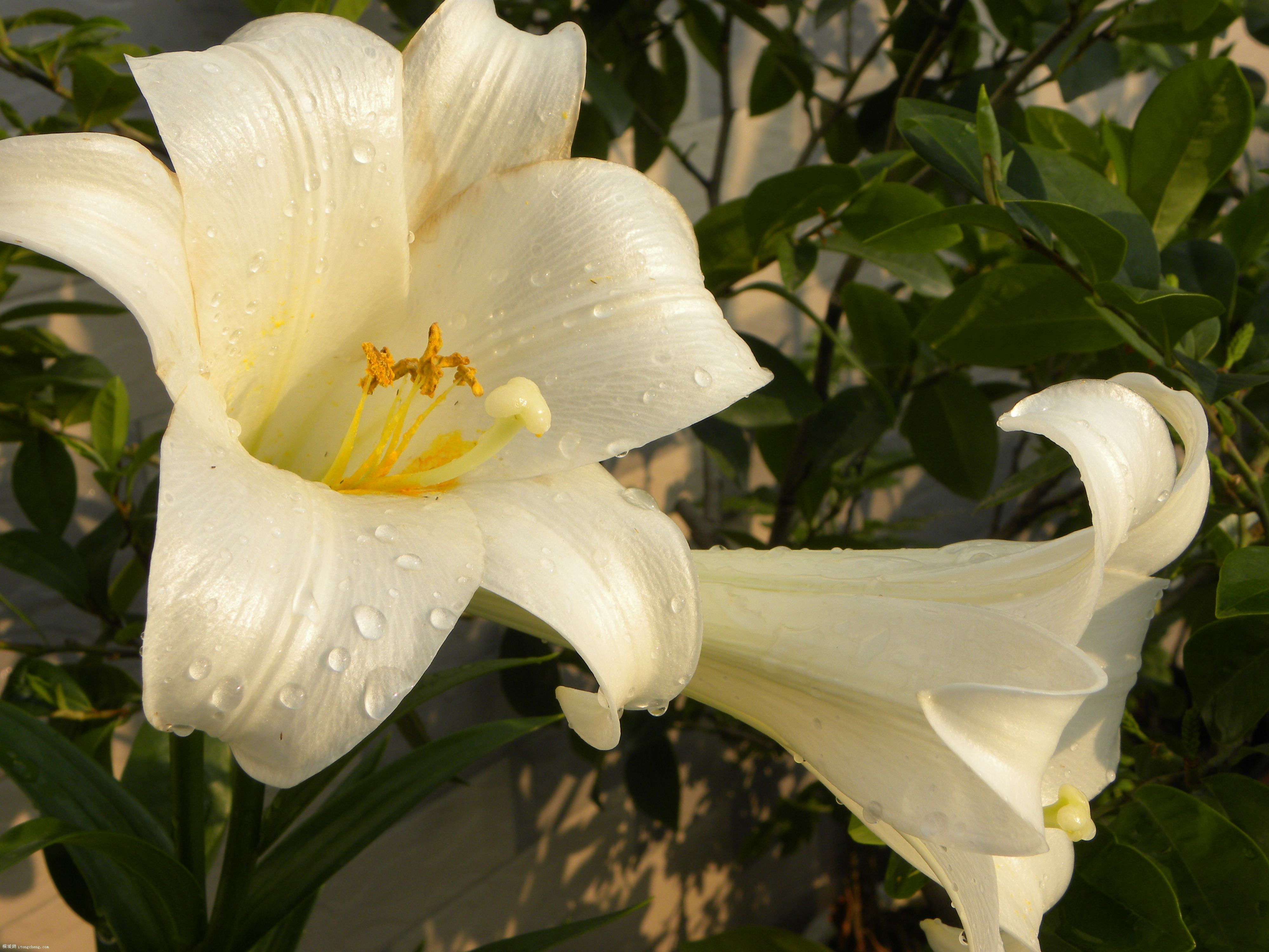 DSCN0432.JPG