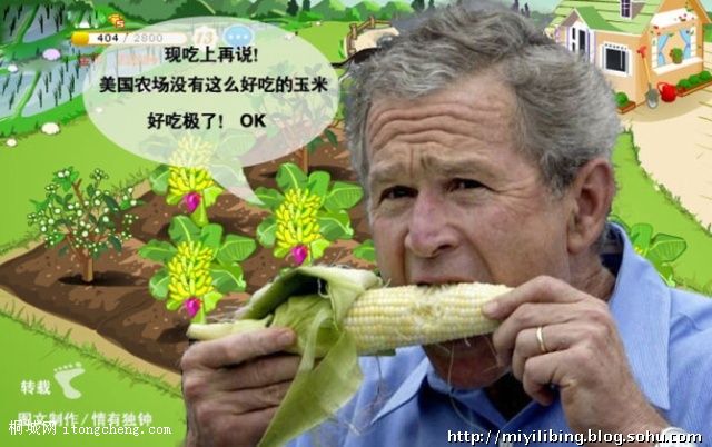 ʲ.jpg